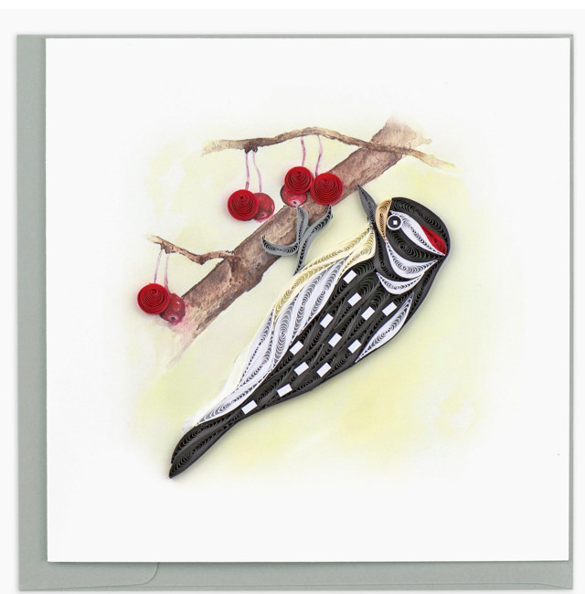 Quilling Card Quilled Downy Woodpecker Card Greeting Card gallery