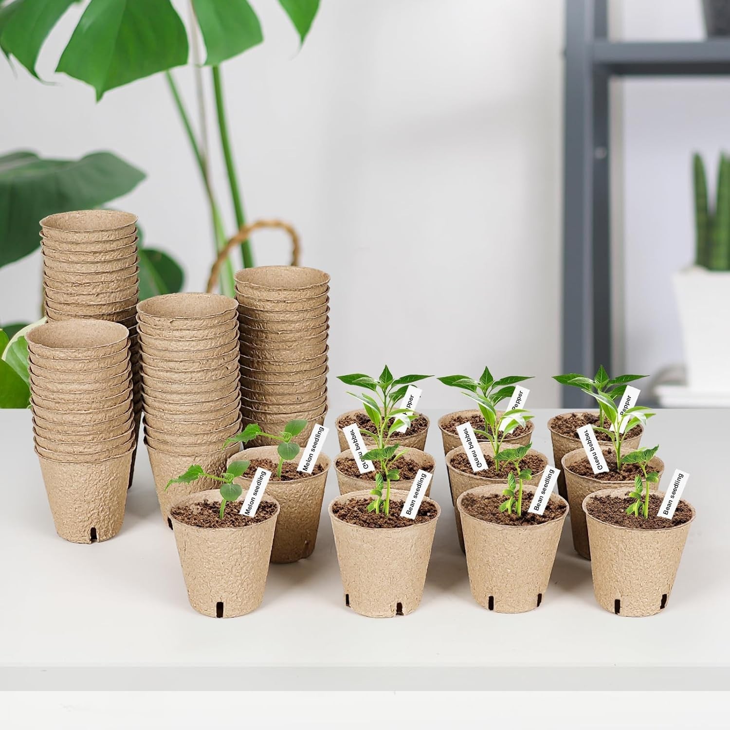 60 Packs 3.15 Inch Peat Pots,Biodegradable Pots for Seedlings with Drainage Hole gallery
