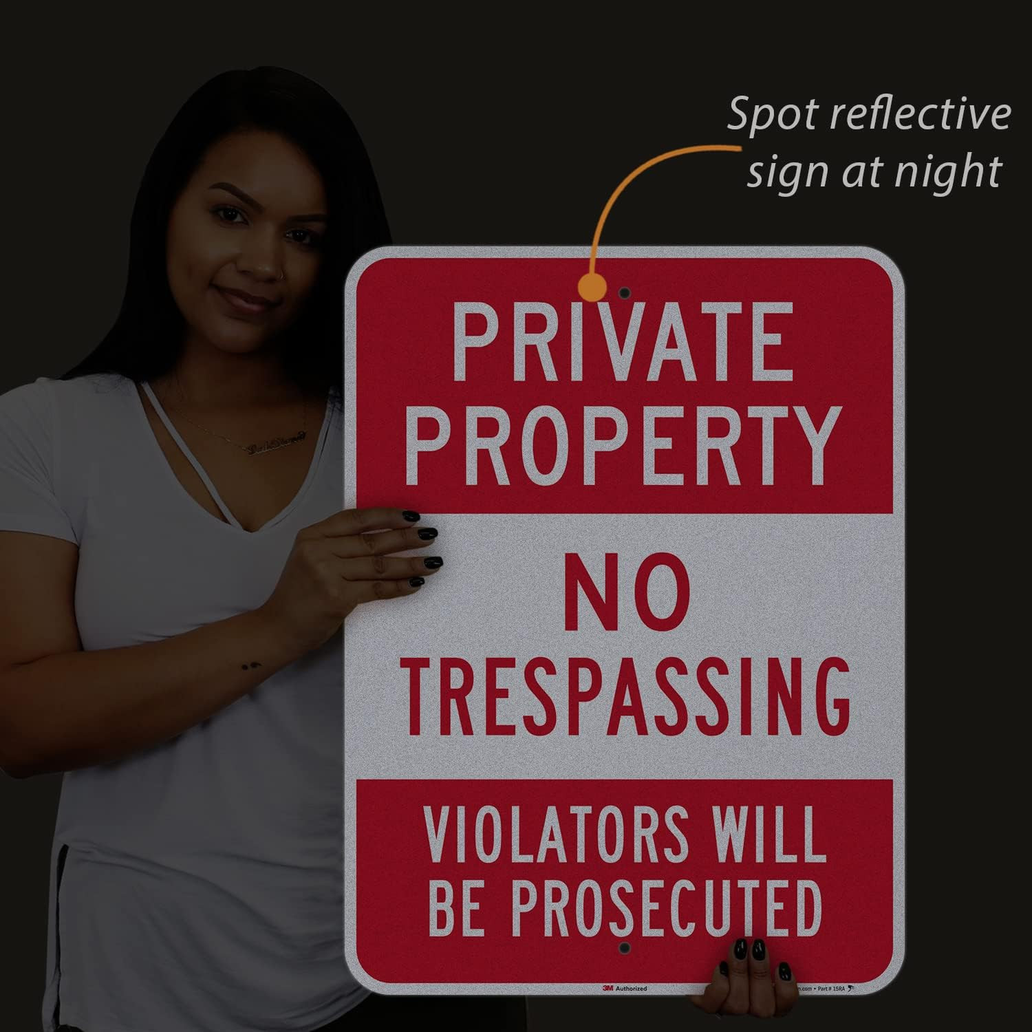 No Trespassing Sign - 18" x 24" Reflective Aluminum - Violators Prosecuted gallery