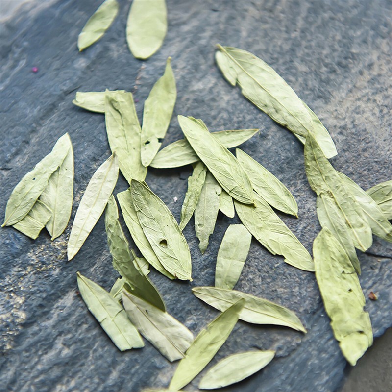 Senna Leaf Herbal Tea Natural Dried Leaf Pure Plant Based Wellness Tea gallery