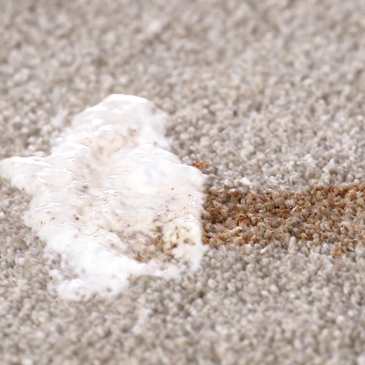 Bull Shot Carpet Spot & Stain Remover by Horsepower - Free Shipping gallery