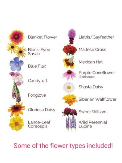 3000+ (1oz+) Spring Planting WILDFLOWERS Non-GMO Seeds PLANT NOW! FREE SHIP gallery