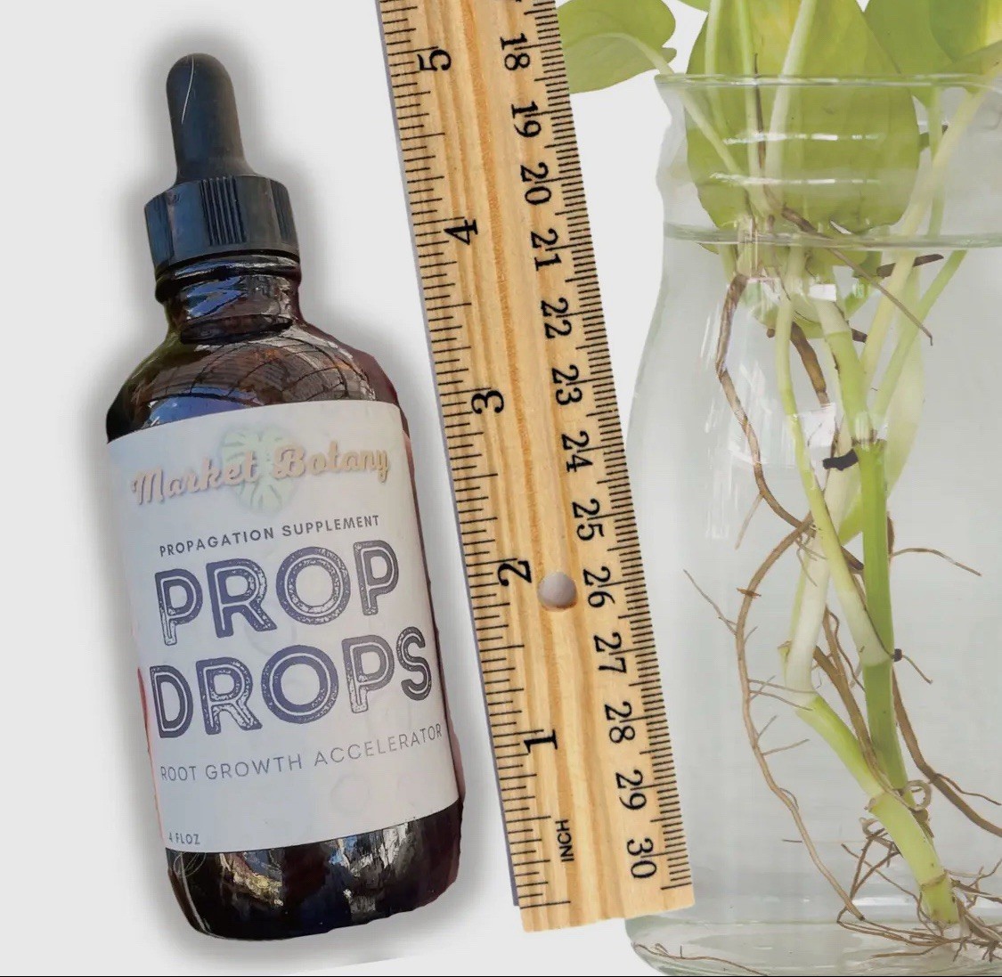 Prop Drops by | Propagation Plant Drops to Promote Healthy Root Growth gallery