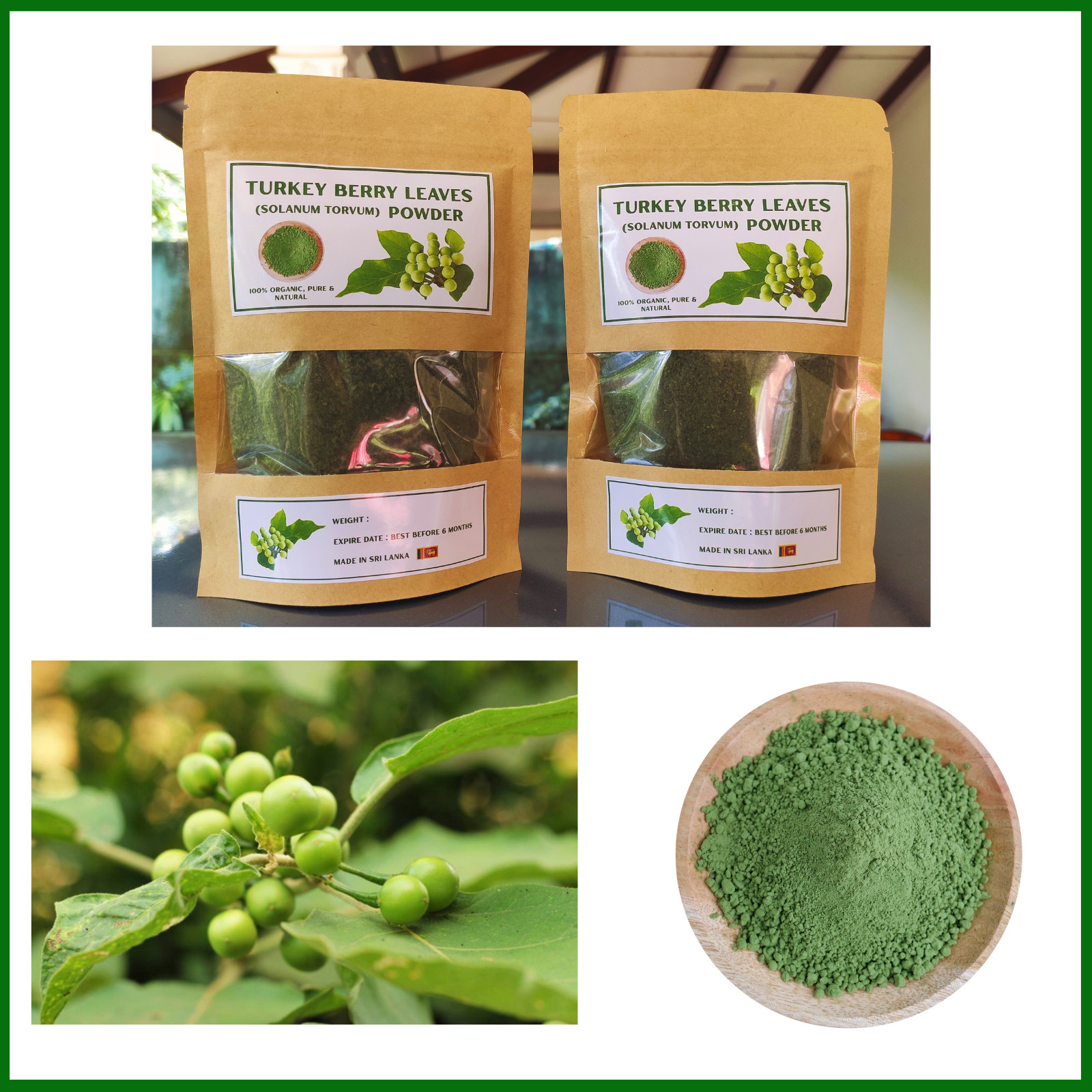 Turkey Berry Leaves Powder Dried Organic Solanum Torvum Natural Pure Leaf Powder gallery