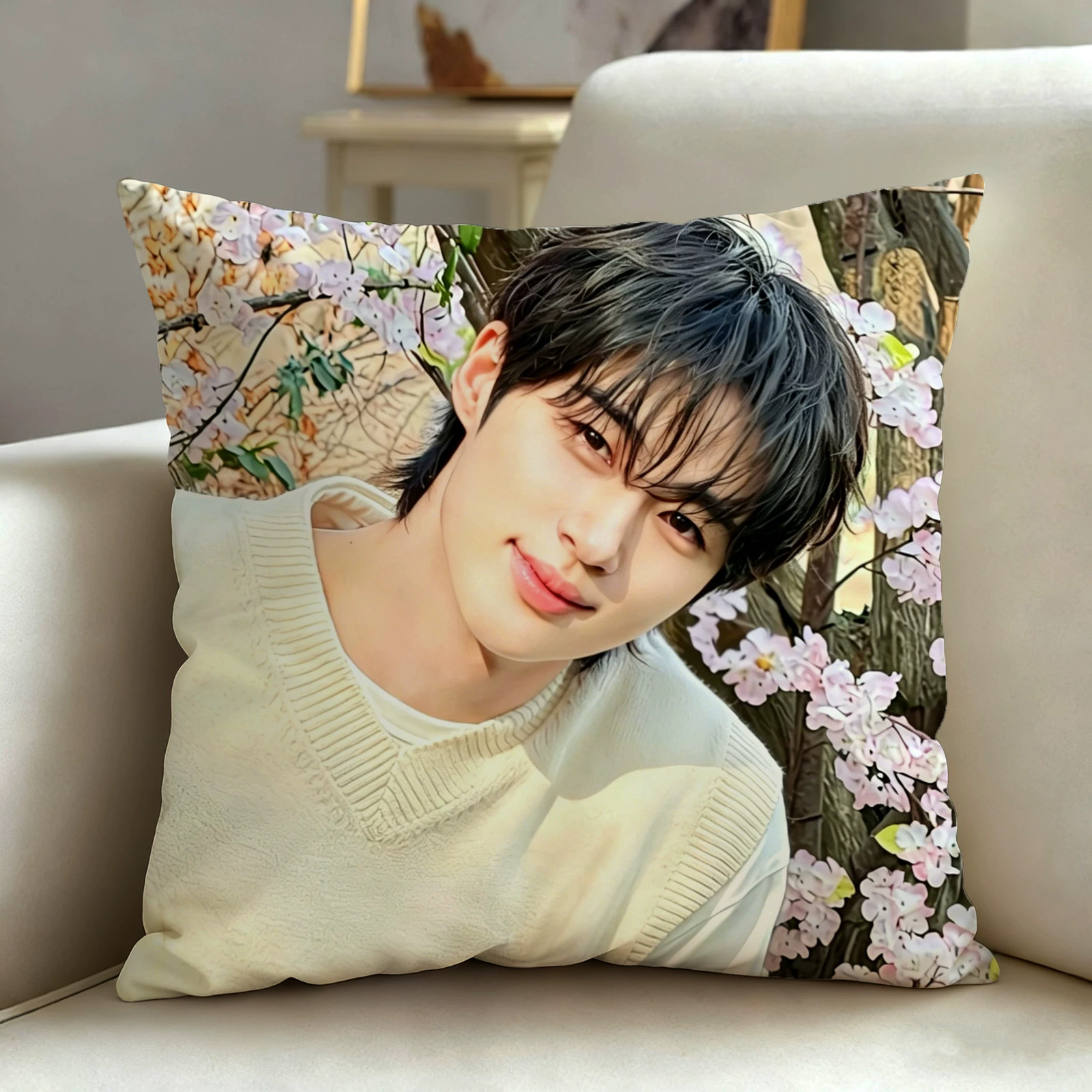 Byeon Woo-Seok Pillowcase Photo Decorative pillow No filling Fan support 40*40cm gallery