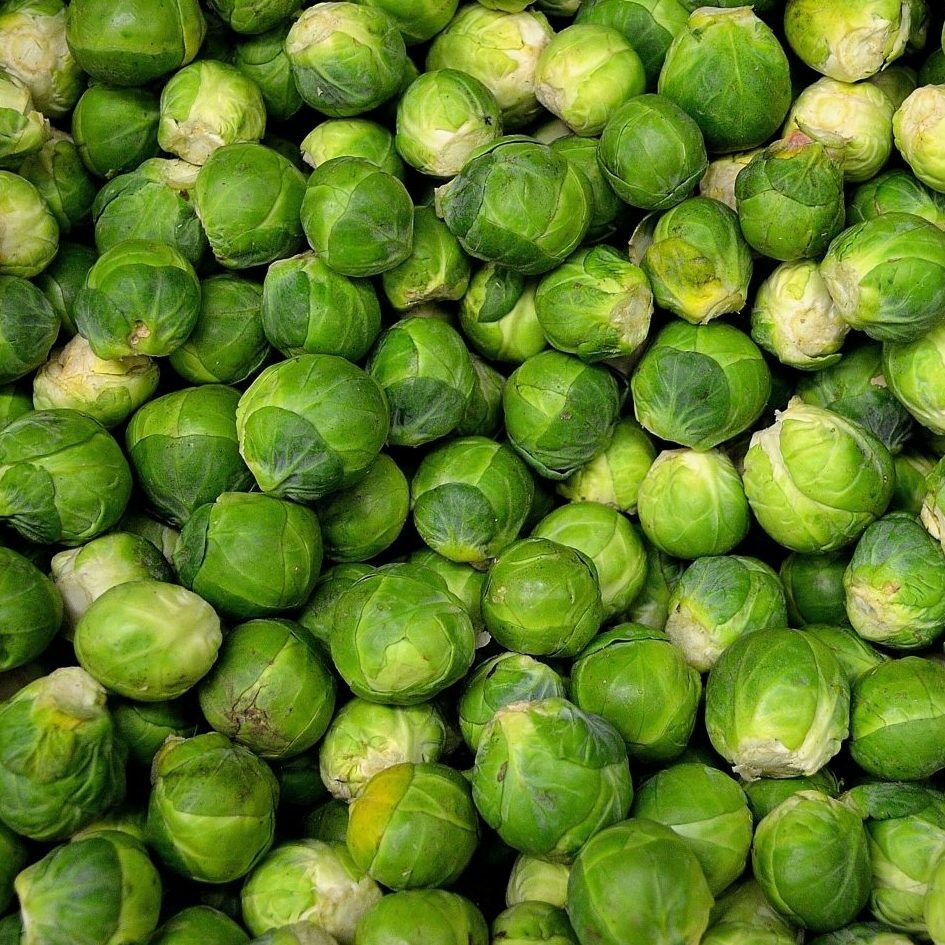 Brussel Sprouts Long Island Seeds 500+ Vegetable NON-GMO HEIRLOOM FREE SHIPPING gallery
