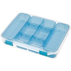 STERILITE Divided Case, Multicolor