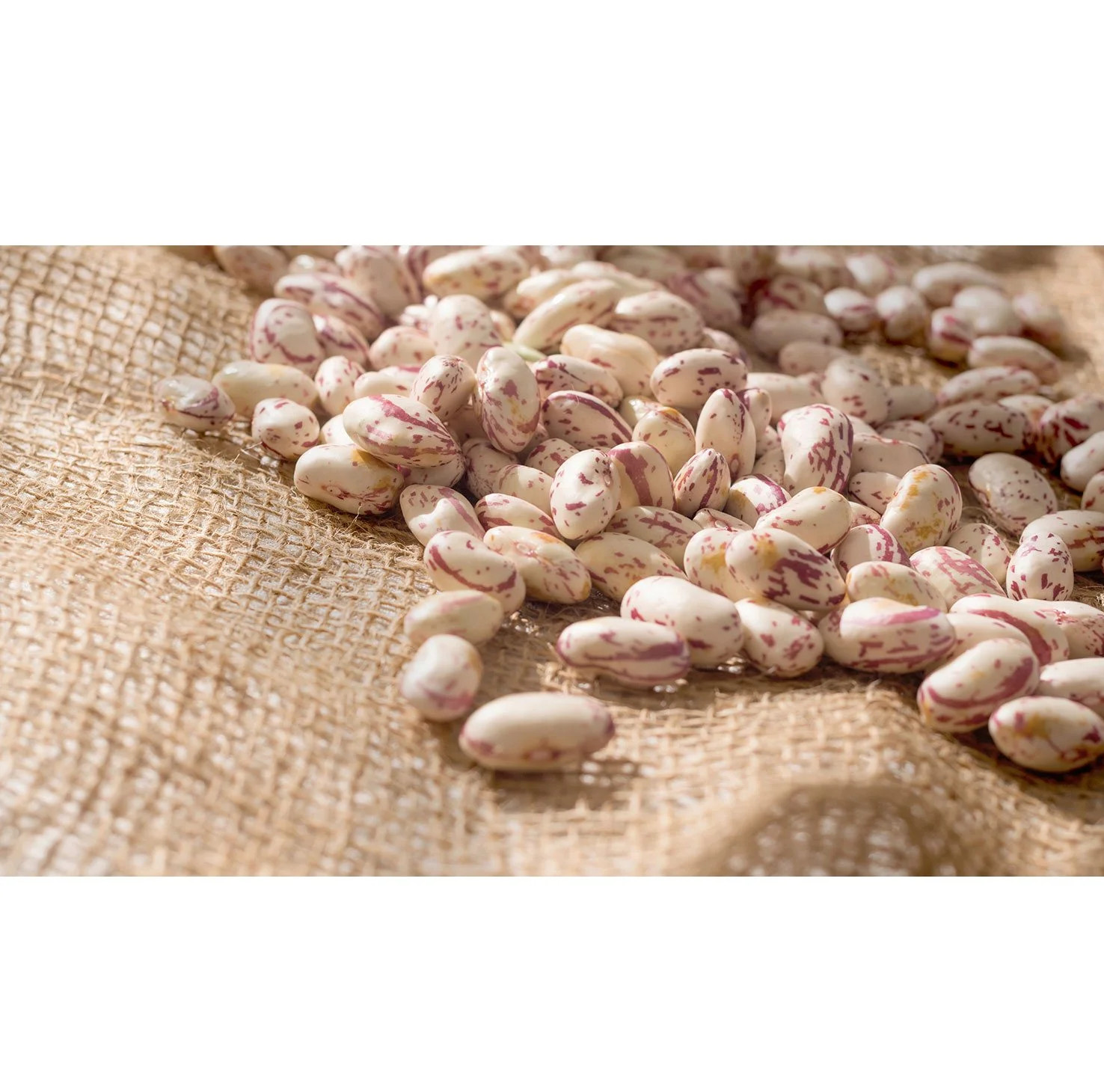 2 Pack - Member's Mark Pinto Beans 12 lbs. gallery