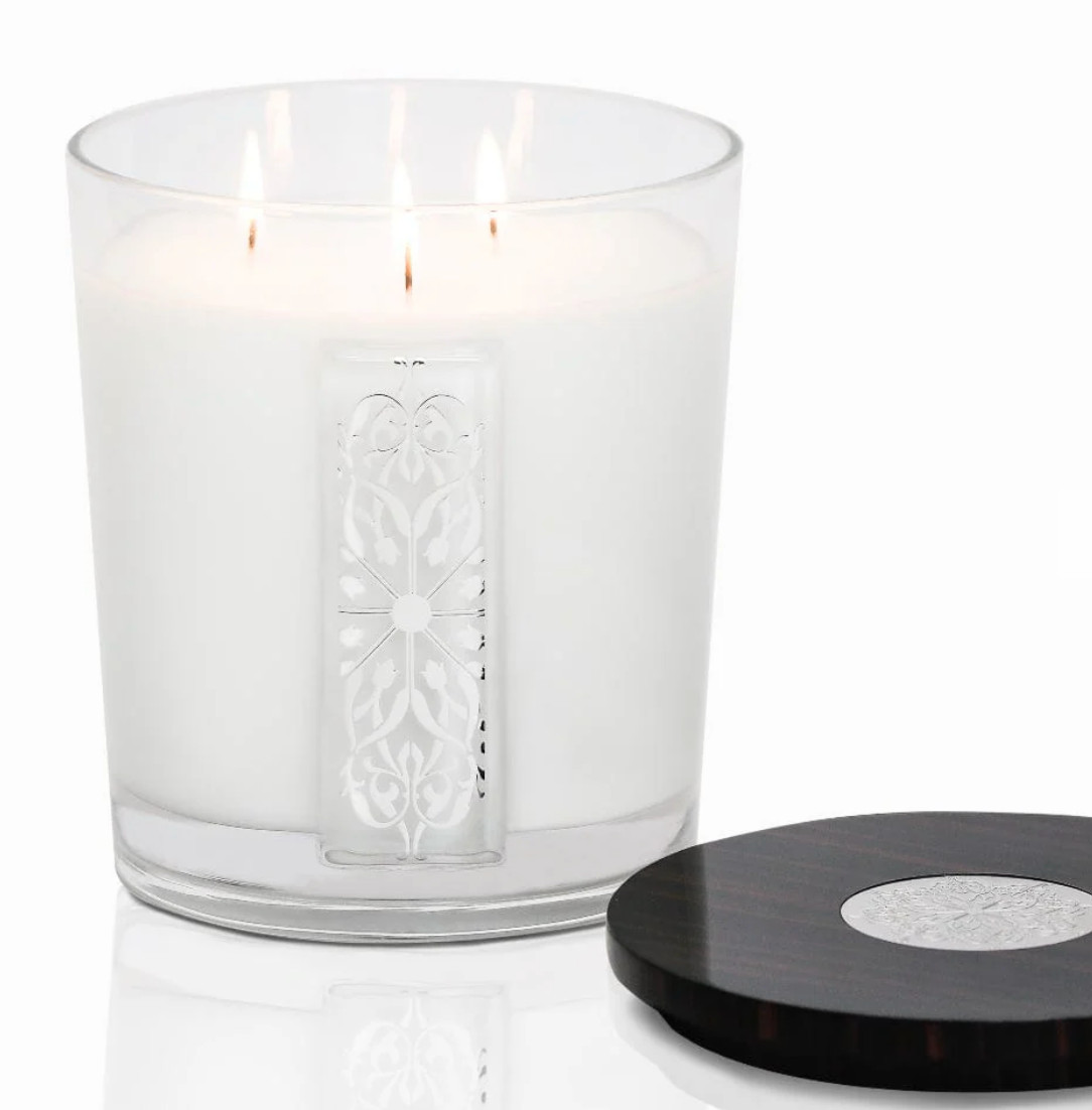 THOMPSON FERRIER INVOLUTUS GLASS CANDLE- ASH EMBER ROSE FRAGRANCE gallery