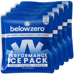 Below Zero Prefilled Reusable Ice Packs for Coolers Long Lasting Freezer Blocks