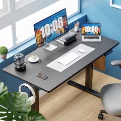 55″x24″ Black Modern Height Adjustable Electric Standing Desk Home Office Table
