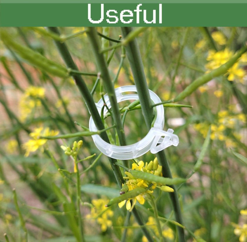 100Pcs Plant Support Clips Tomato Veggie Garden For Trellis Twine Greenhouse gallery