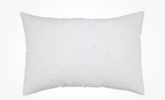 Pillow Insert With Down Feather Filling 12×18 NWT