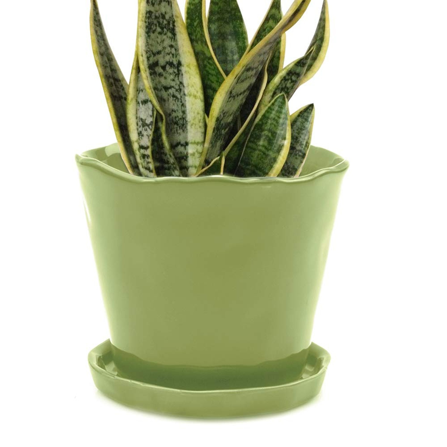 CHIVE ‘Tika’ Ceramic Planter Pot — Large 8" Succulent Pots for gallery