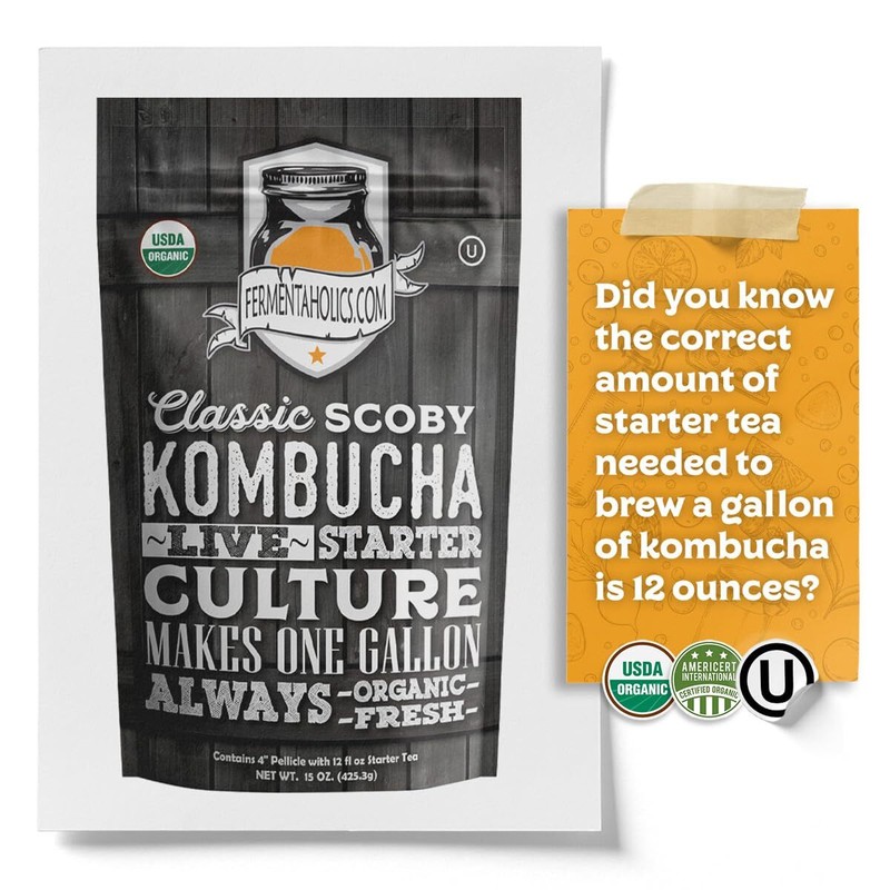 Organic Kombucha Starter Kit 15oz SCOBY Makes One Gallon Brew at Home gallery