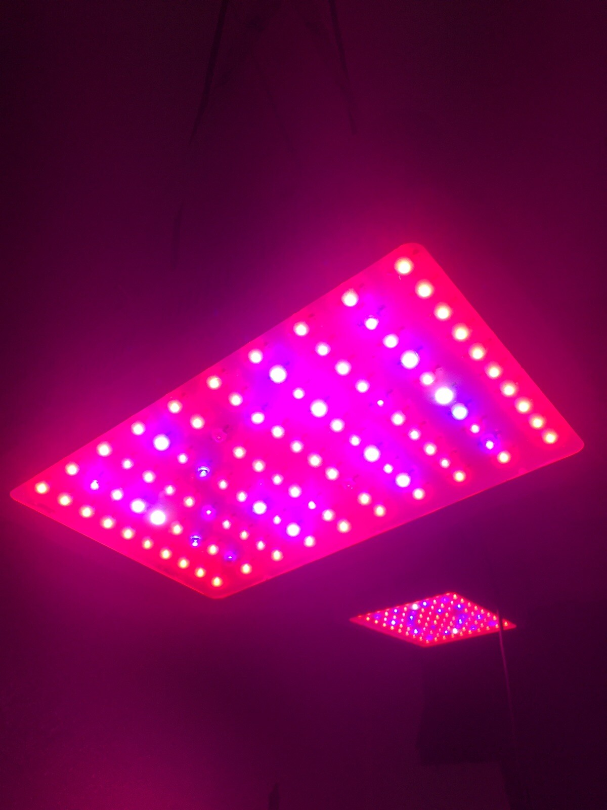 Roleadro Grow Light, 1000W LED Grow Light Full Spectrum Galaxyhydro Series gallery