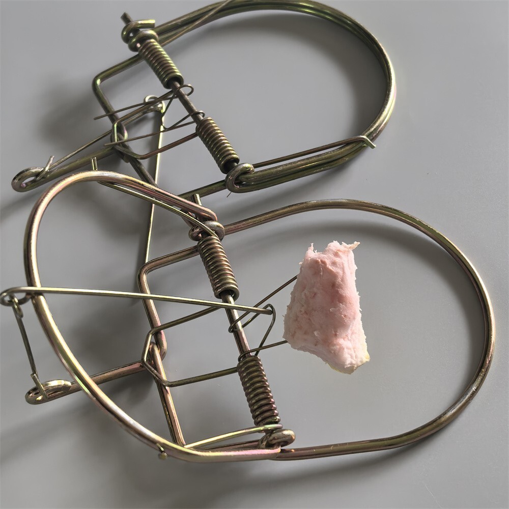 2Pcs Small Animal Catch Traps Mouse Trap Spring Trapt Rodent Cage Suit for Rat gallery