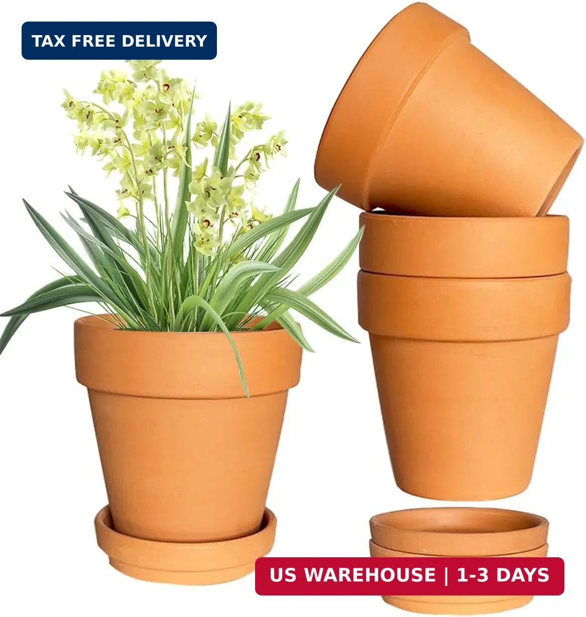 6 Inch Terracotta & Clay Plant Pots with Drainage Hole and Saucer- 4 Pack Medium gallery