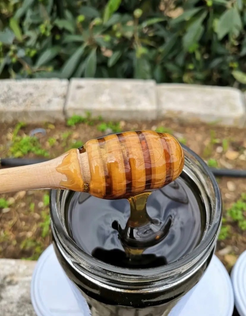 Organic Premium Pure Oak Honey from Lebanon (800 g) - Raw Amber Oak Honey gallery