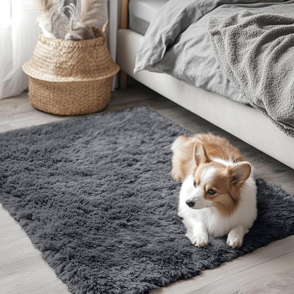 2x3 Machine Washable Small Bedside Rug, Soft Fluffy Shaggy Entryway Throw Rugs f