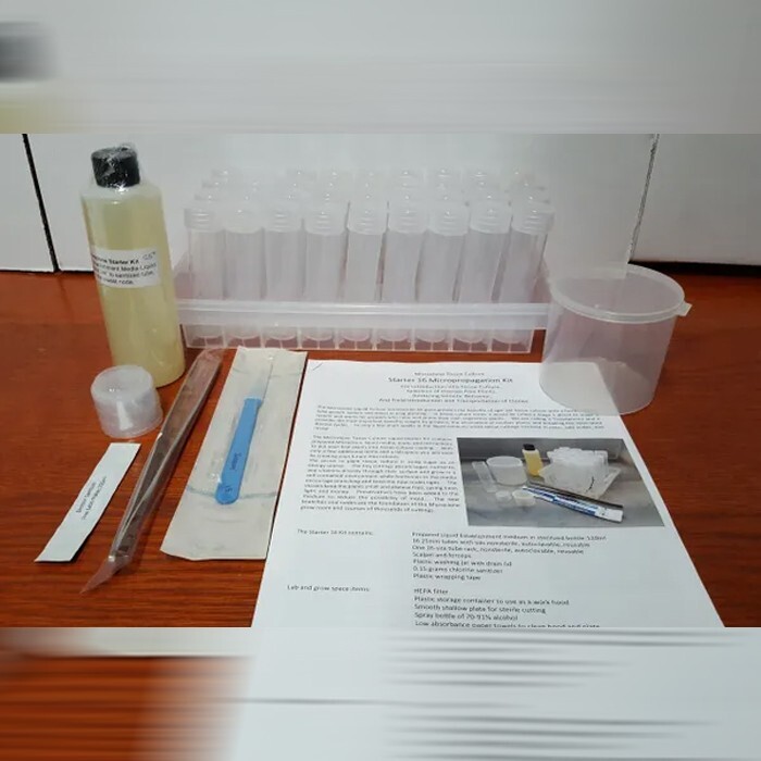 Tissueponics Starter Kit 36 Cloning/Propagation W/ Liquid Tissue Cloning Medium gallery