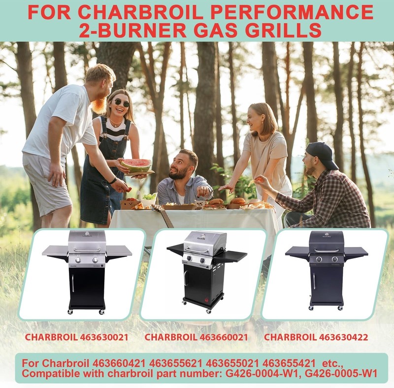 463630021 Griddle Insert for Charbroil Performance 2-Burner Grill 463660021 4... gallery