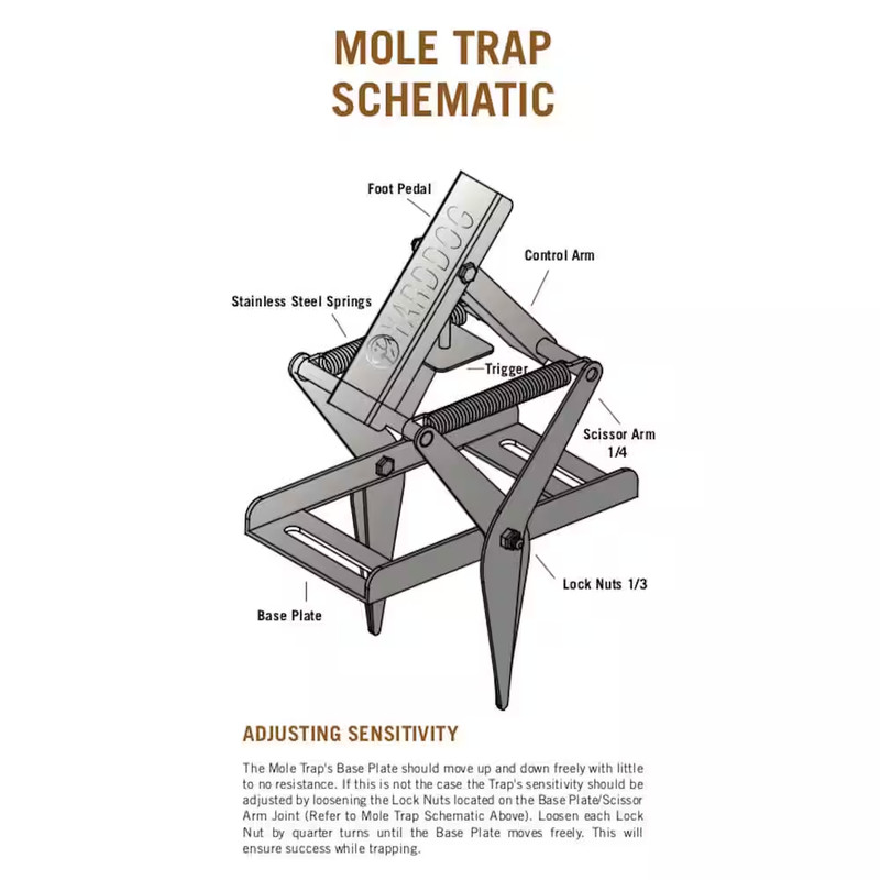 Mole Trap gallery