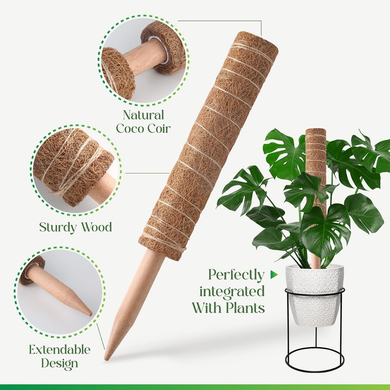 Moss Pole for Plants Monstera, Extendable Plant Sticks Support, Plant Stakes ... gallery