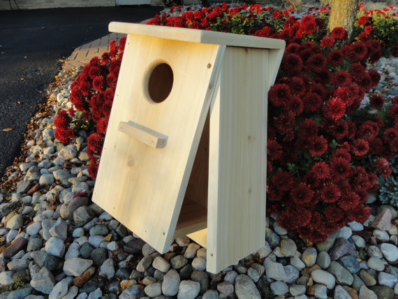 One Screech owl / Kestrel nest box kit (white cedar) gallery