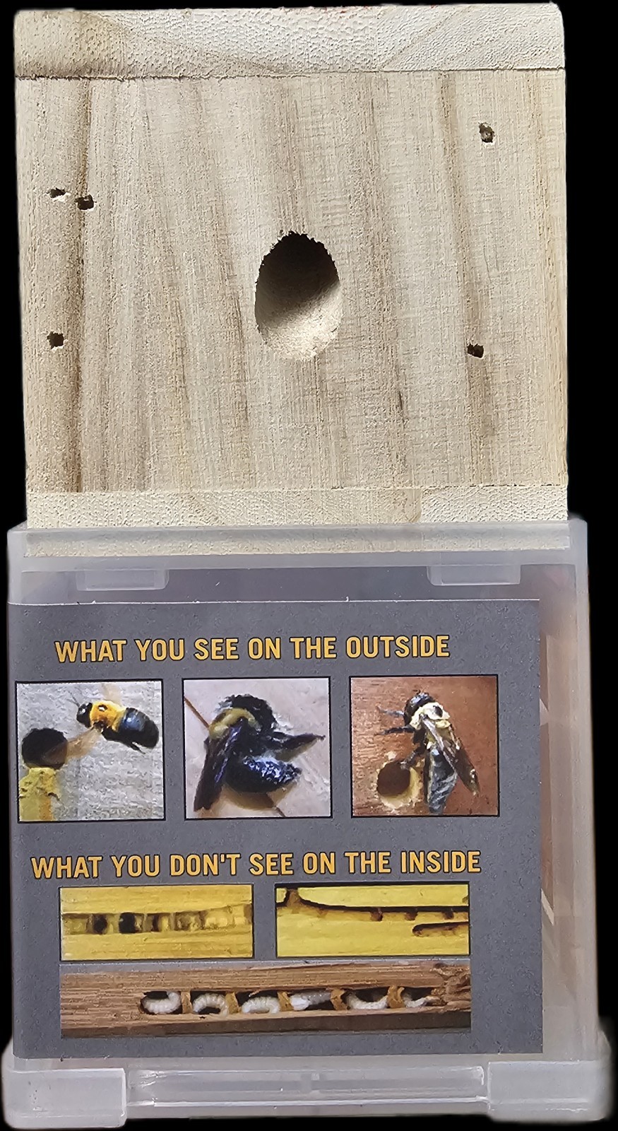 Bees 'N Things Outdoor Carpenter Bee Traps - Catch & Release -New gallery