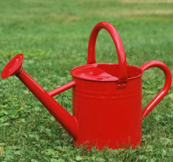 Gardener Select Metal Watering Can, Red - 3.5L (0.92 gallons) gallery