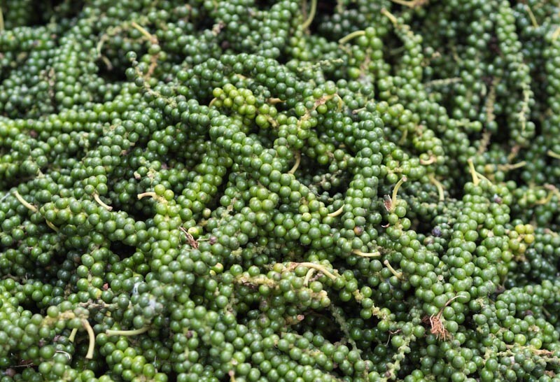Ceylon Black Pepper Powder, Natural organic Peppercorns, 100% Pure Hand Picks gallery