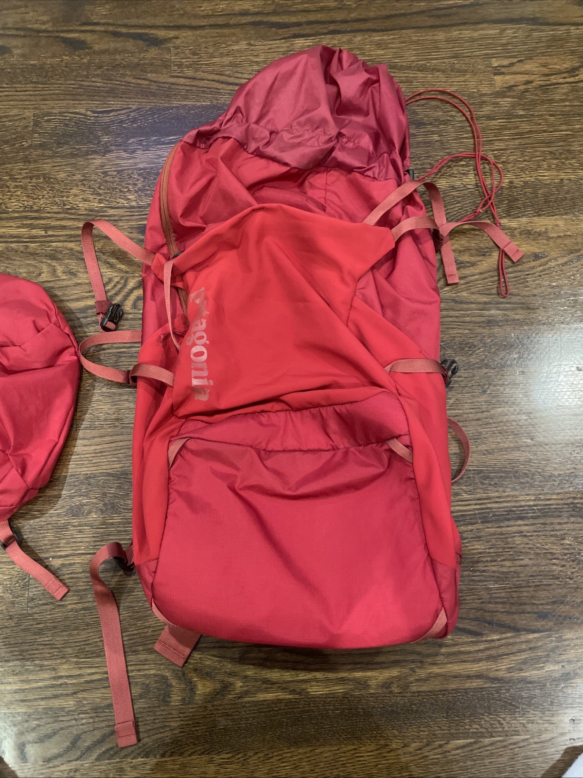 Patagonia Red Backpack