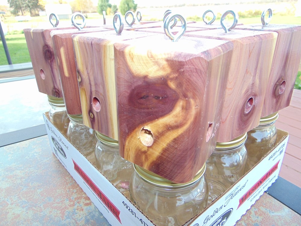 8 Red Cedar carpenter bee-bore cedar traps FREE SHIPPING