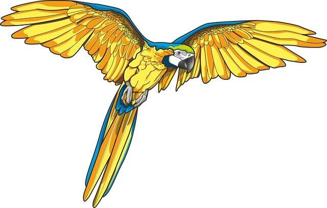 Parrot Sticker Decal gallery
