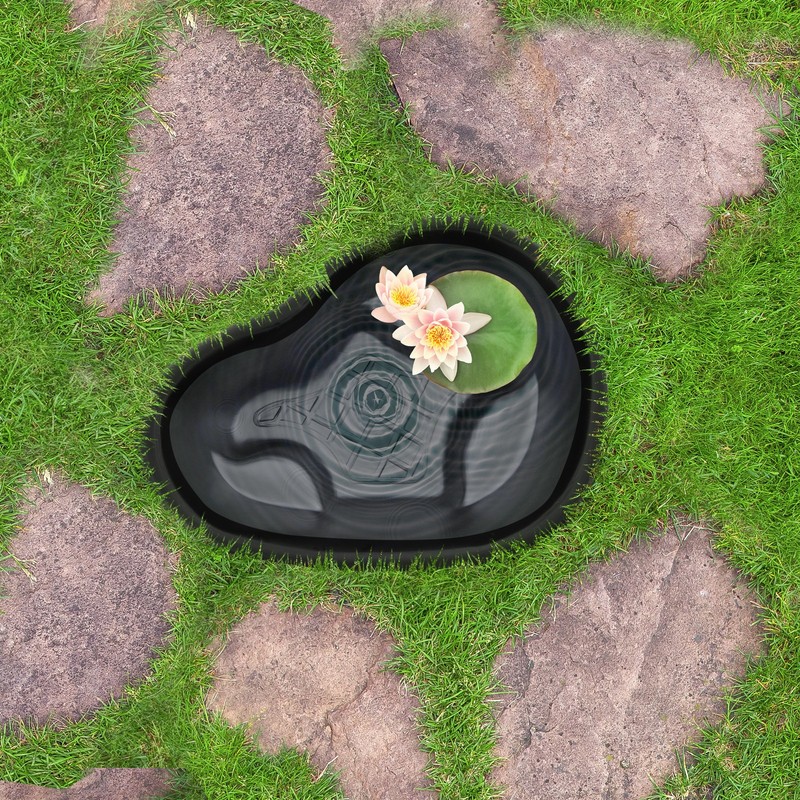 Algreen 91901 Avonlea Rigid Preformed 33 Gallon Plant Safe Pond Liner, Black gallery