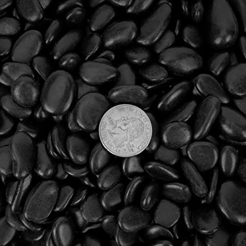 5 lbs Pebbles, 3/8" Natural Decorative Polished River Rocks 5 Pounds Black gallery