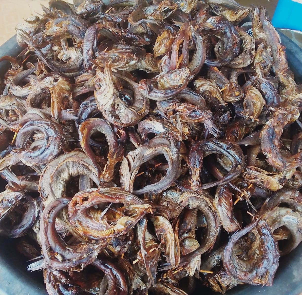 30 pieces DRIED PANLA FISH gallery