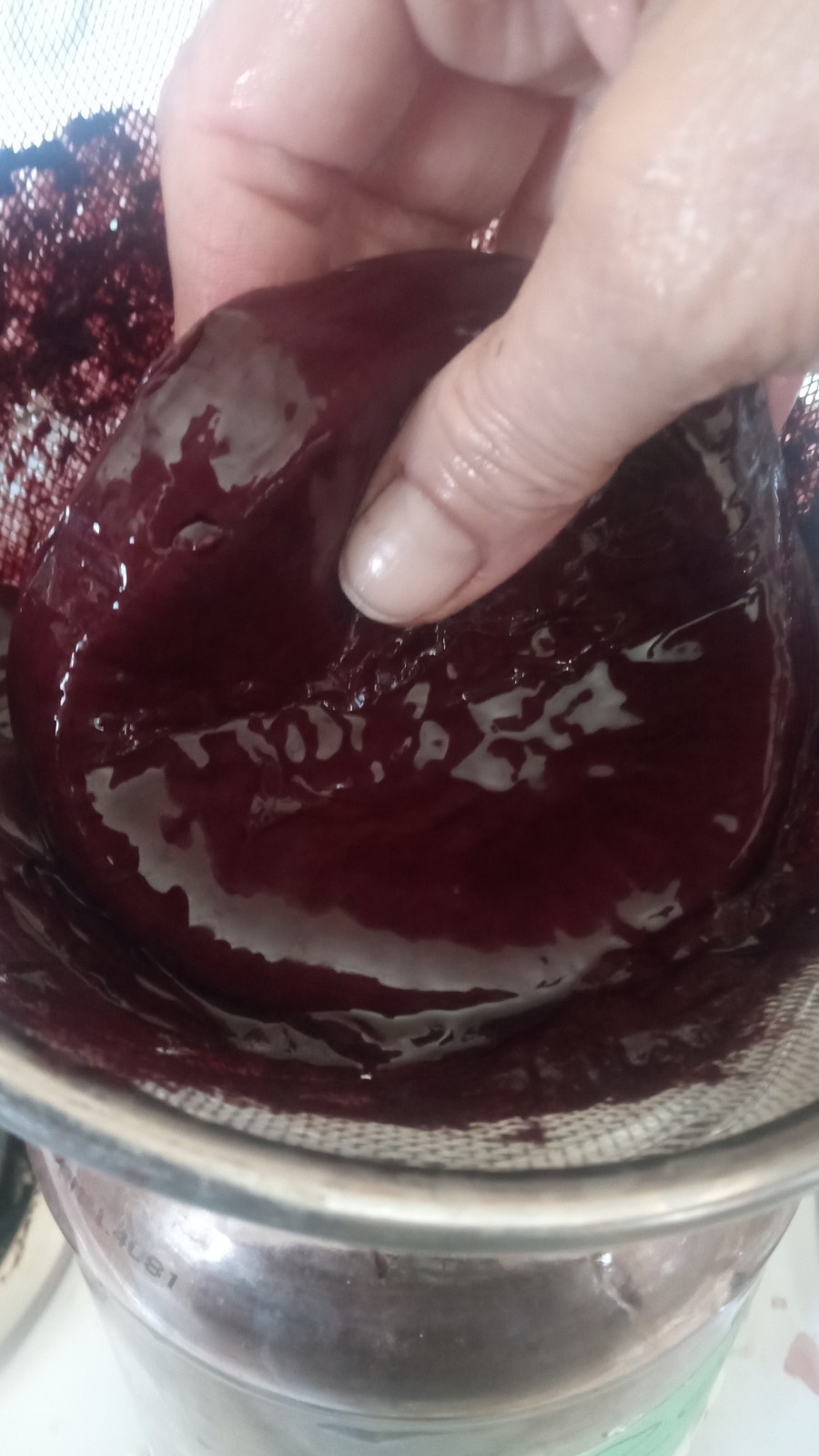 Raw Vinegar Mother , xtra Large Patties Around 4-500 Gr, Made Fron Fine Wines gallery