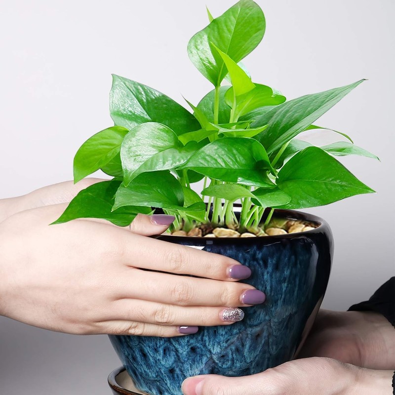 Ceramic Modern Glaze Succulent Planter Pot with Drainage Hole and Saucer 6 Inch gallery