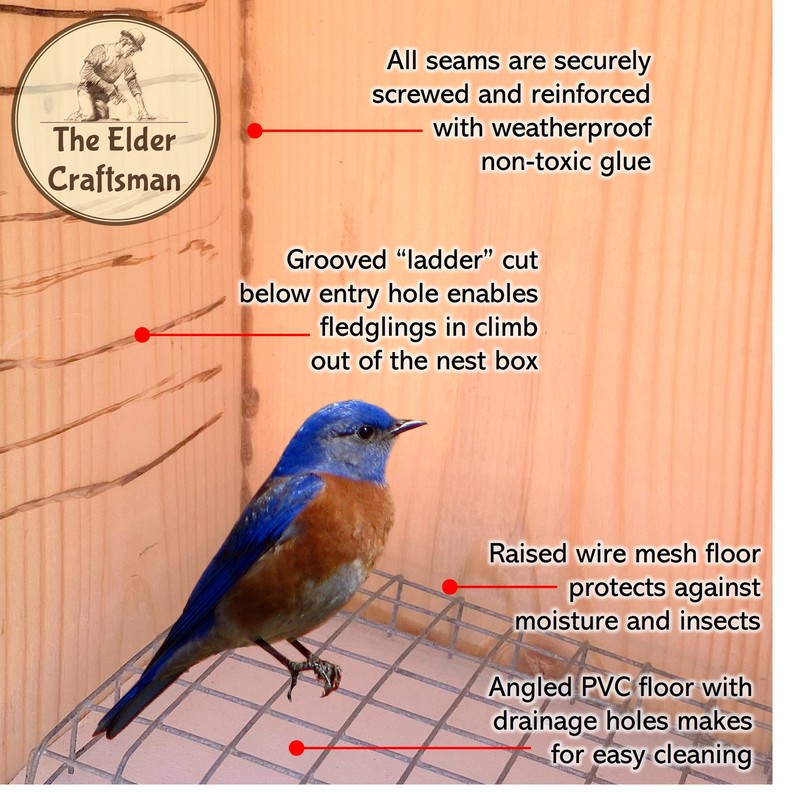 Hoverman Bluebird House | Cedar | Insulated | Predator Guard | Weatherproof gallery