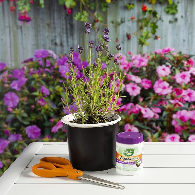 2 Pack Garden Safe Takeroot Rooting Hormone, New Plants Growth Powder - 2 Oz gallery