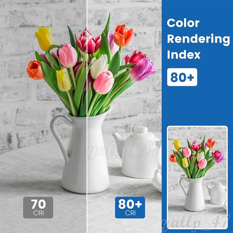 15Pcs A19 LED Light Bulbs E26/E27, 150W Eq, 900LM, 6000K for Bedroom Living Room gallery
