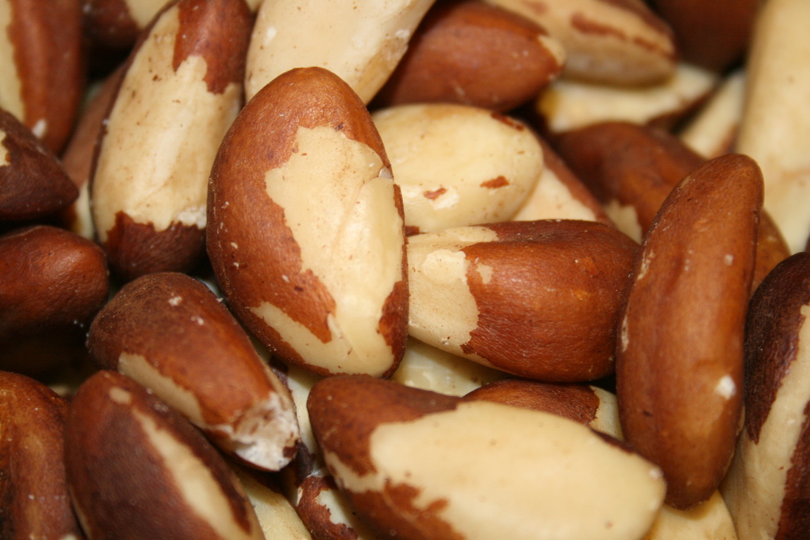 Brazil Nuts (Raw, No Shell, Premium, Whole, Natural) 2LBS gallery