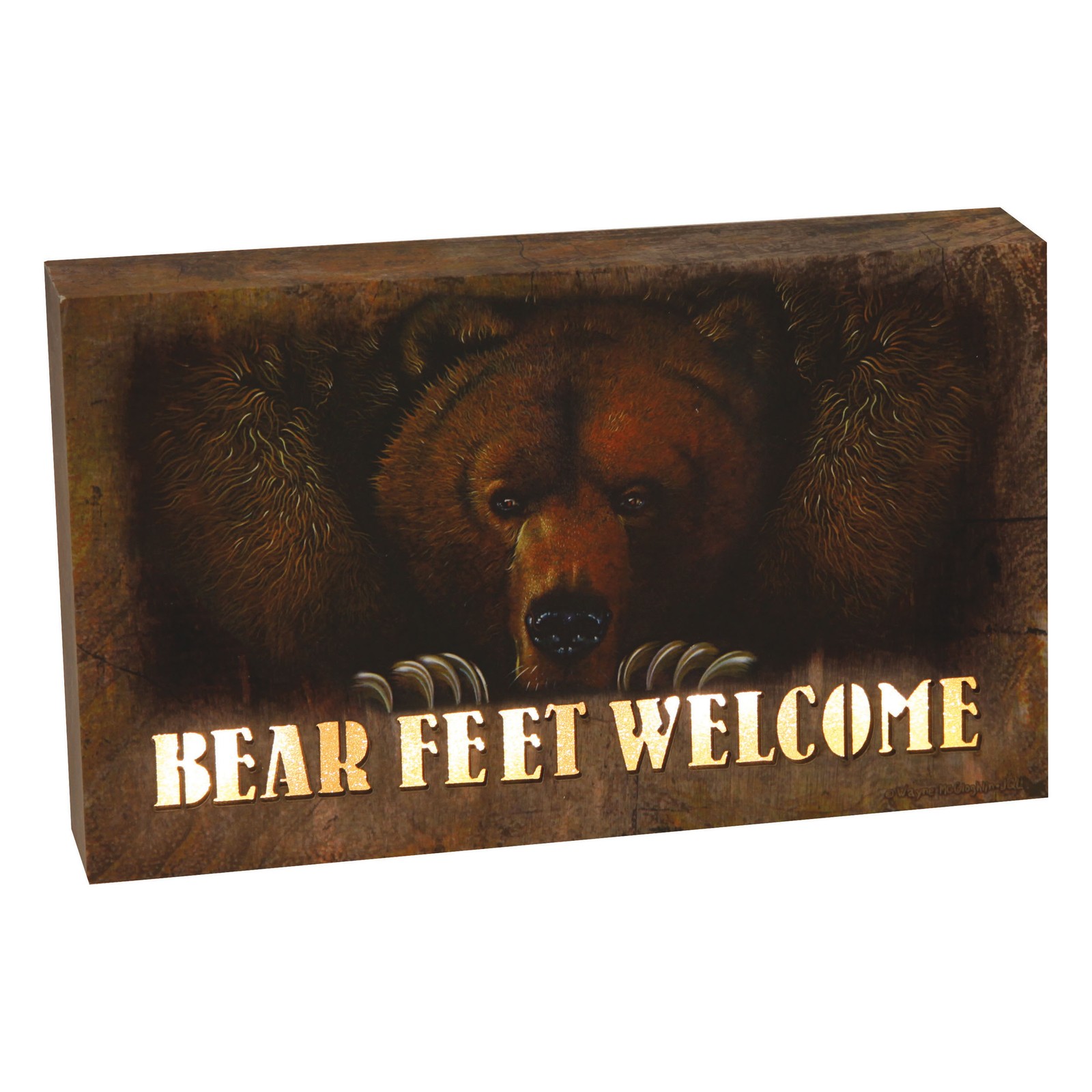 Rivers Edge Products LED Canvas Wall Art, 8" x 5", Fiber Optic Light Up Wall gallery