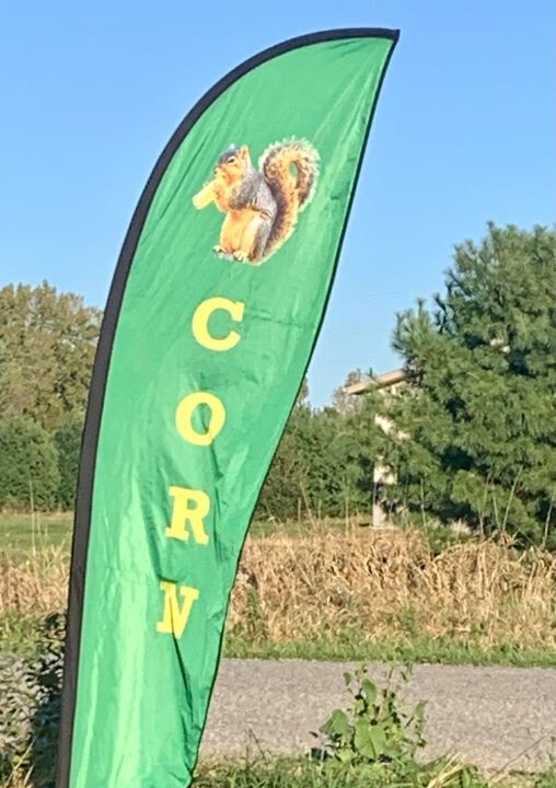 Corn on the Cob Squirrel, Bird, Rabbit, Feed 18 lb just harvested gallery