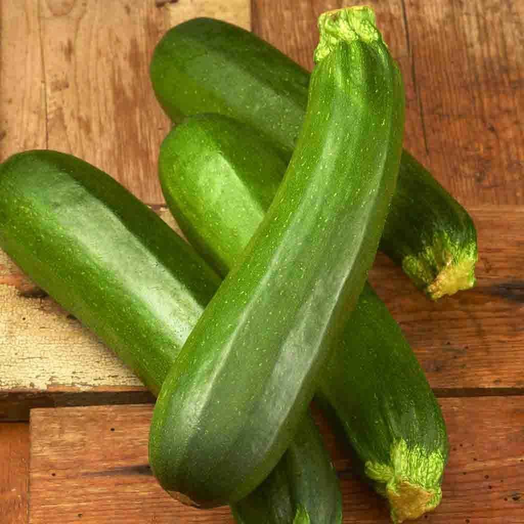 Dark Green Zucchini Summer Squash Seeds, NON-GMO, Variety Sizes, FREE SHIPPING gallery