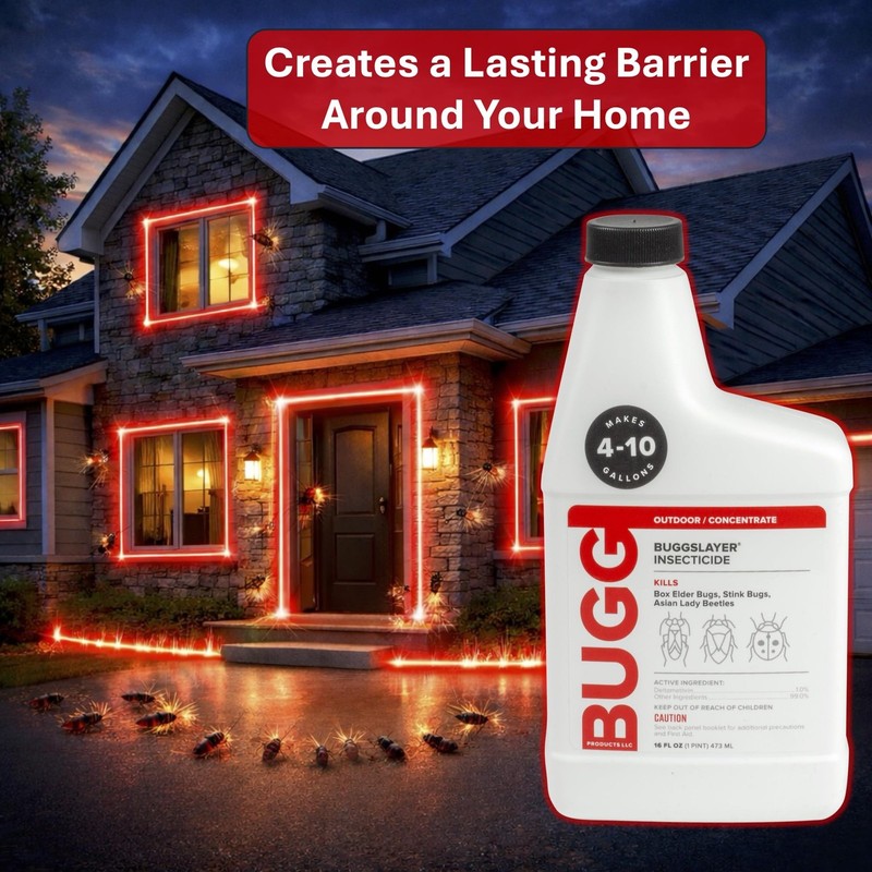 - Concentrate - Outdoor Box Elder Bugs, Stink Bugs, Asian Lady - 16 oz Bottle gallery