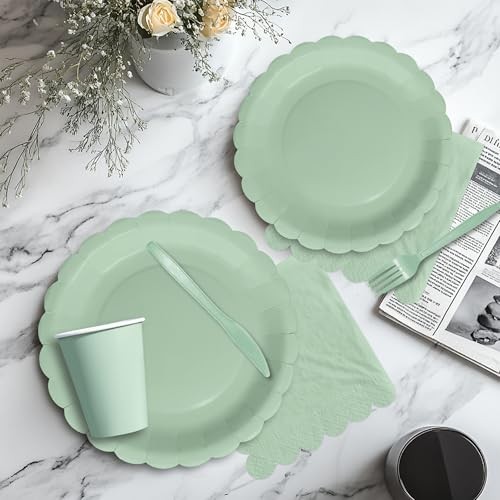 Party Decorations Supplies Tableware, Light Green Paper Plates And Sage Green gallery