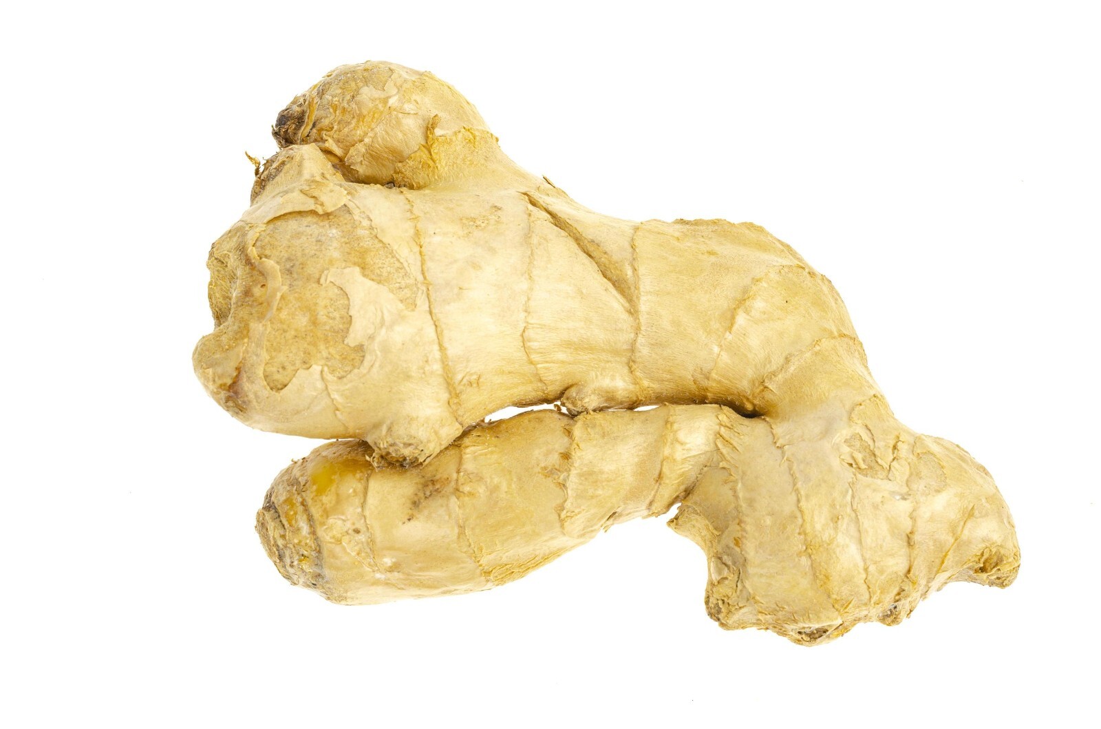 Ginger Root (Rhizome), Whole, Ginger is a spice that comes from the rhizome. gallery